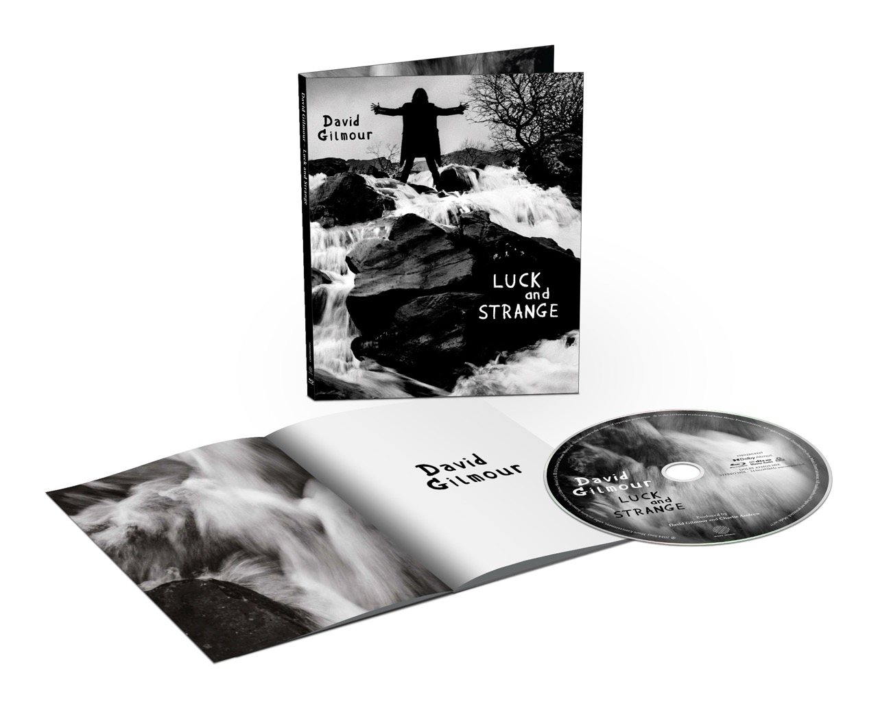 David Gilmour | Luck & Strange