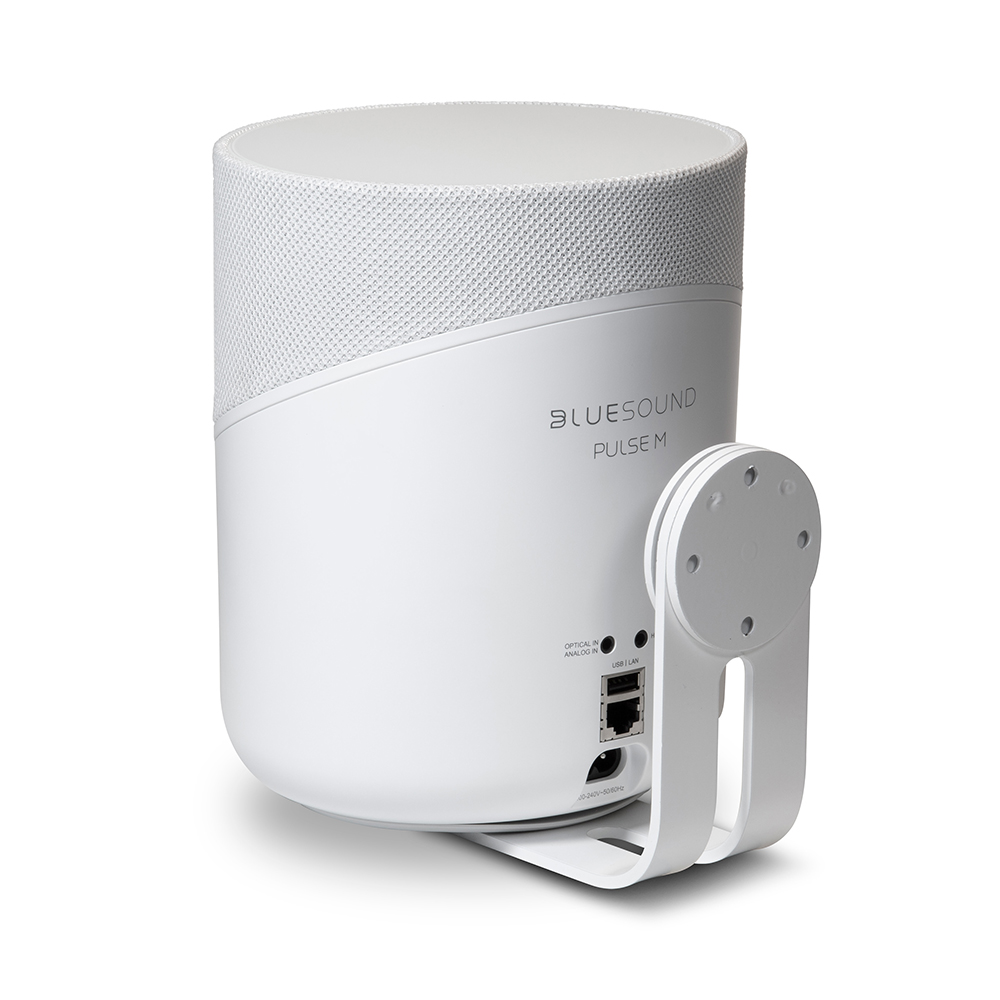 WM-230-Wall-Mount-Rear-White-with-PULSE-M