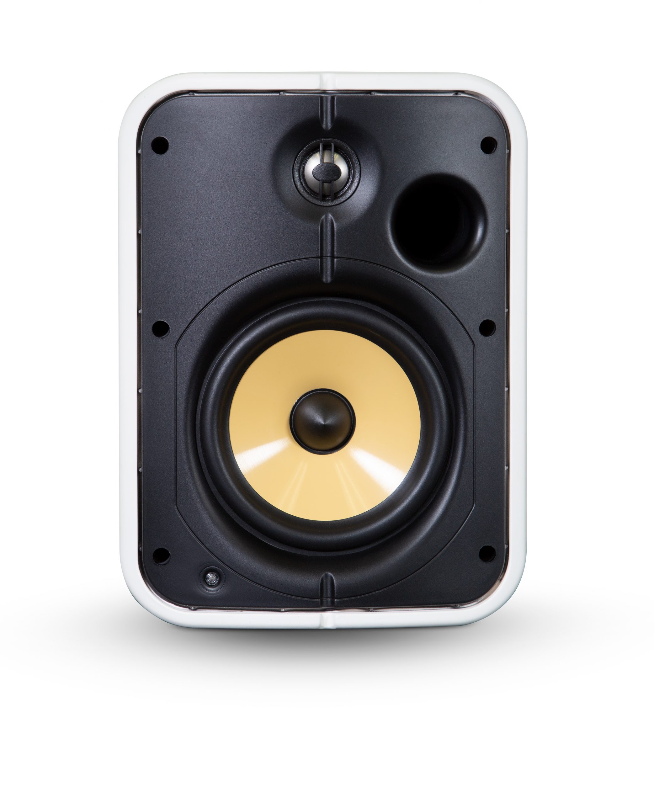 Bluesound Professional BSP1000 | PoE Netzwerk Lautsprecher