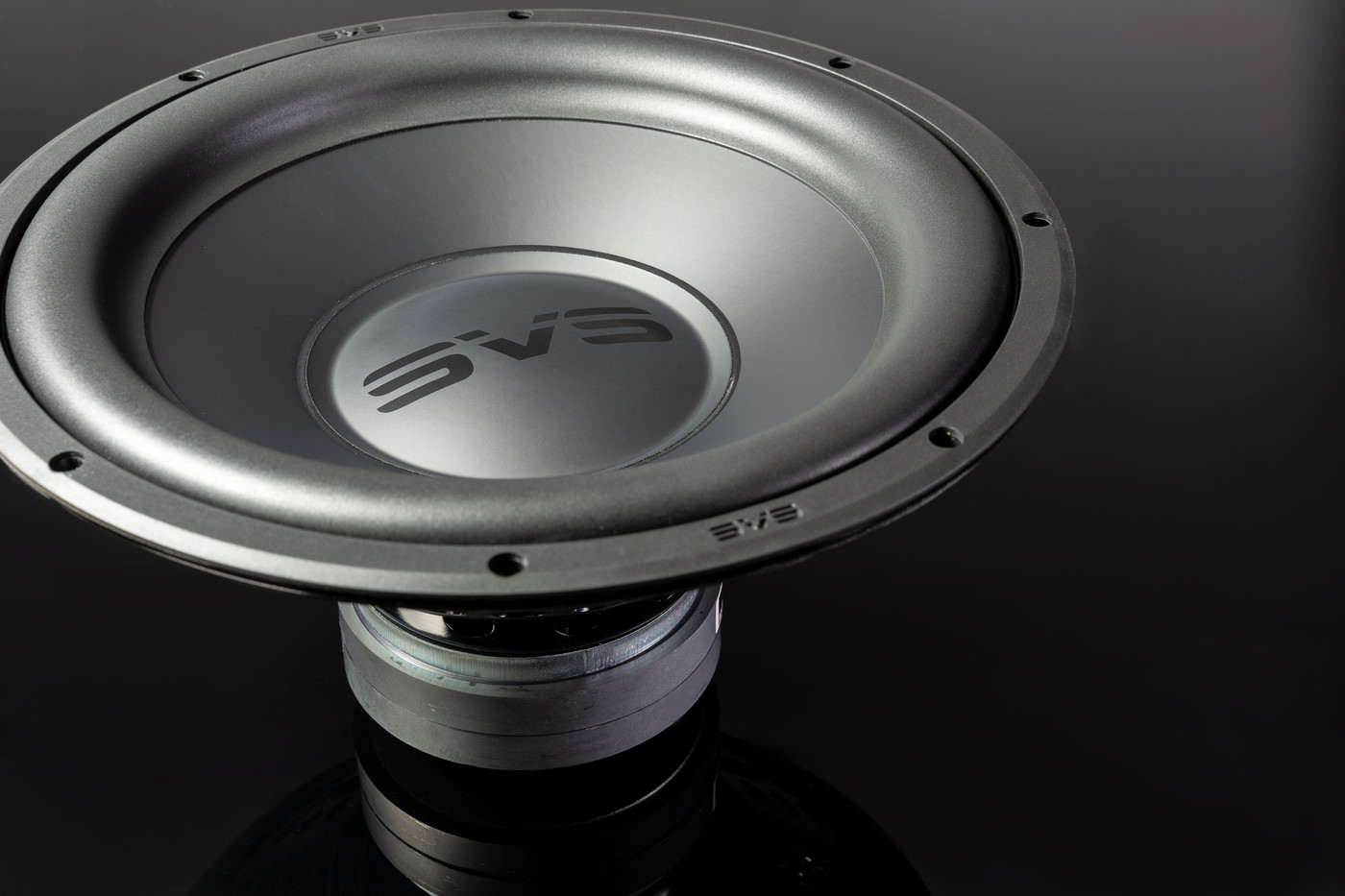 GrobiTV - SVS SB-1000 Heimkino Subwoofer - Premium Black Ash - Treiber Detailansicht