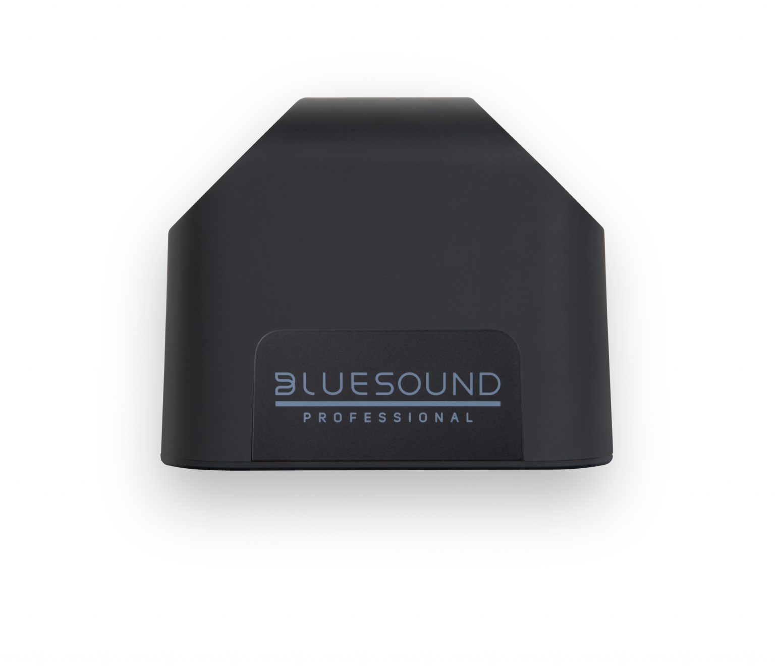 Bluesound Professional BSP125 | Netzwerk Lautsprecher