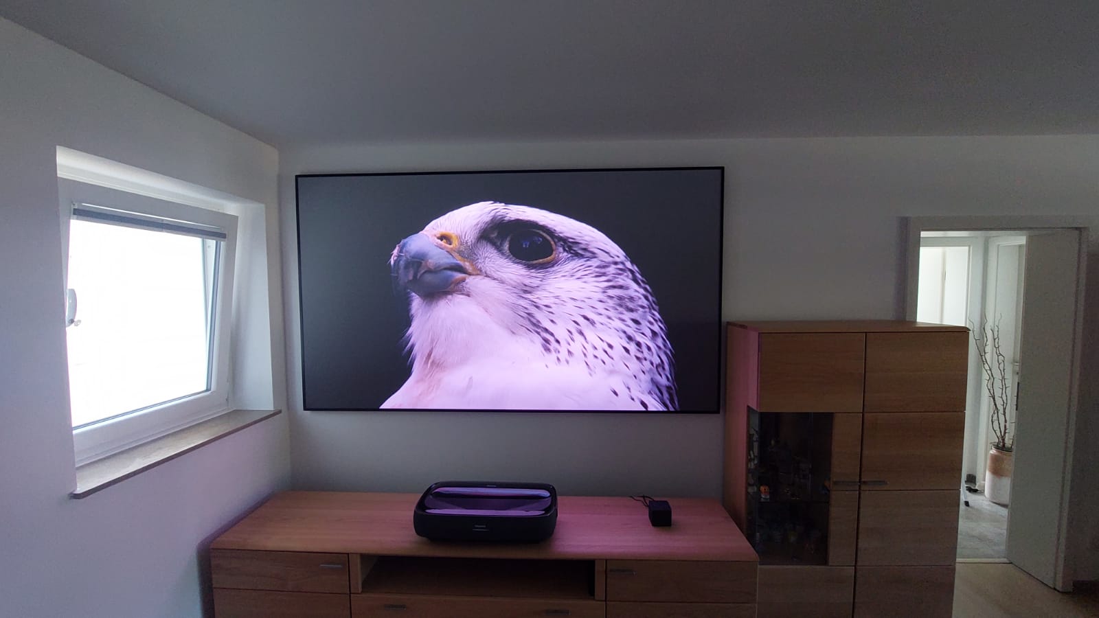 WhatsApp-Image-2023-09-07-at-05-42-30-11