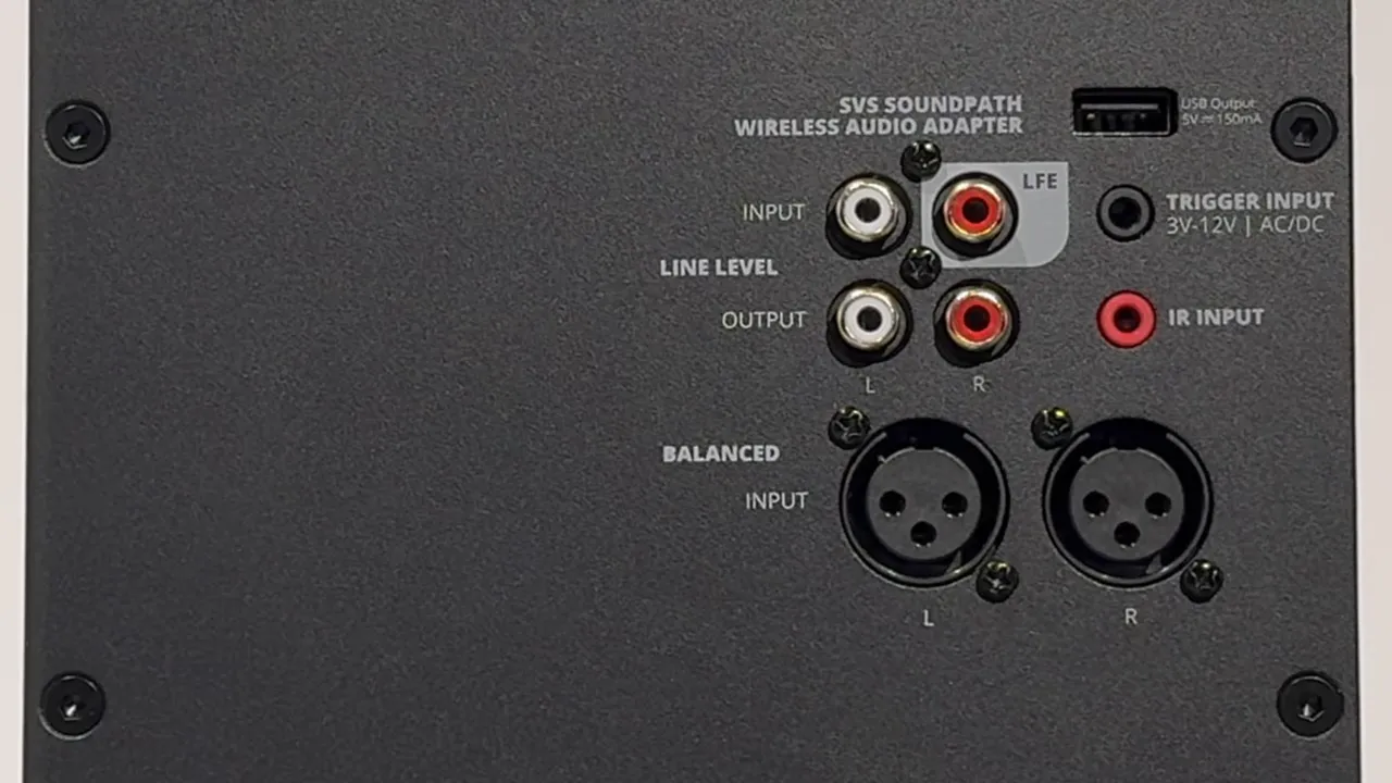 Nahaufnahme der Rückseite mit Cinch-Anschlüssen, zwei XLR-Buchsen und USB-Anschluss