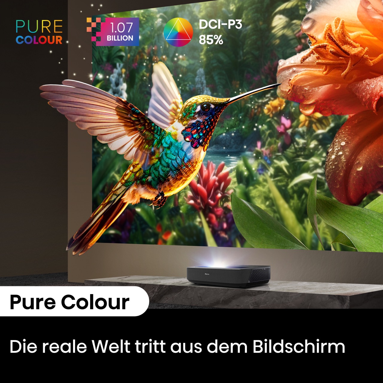 Gross-Pure-Colour_ Hisense PL2  Laser Cinema 4K Ultra HD Laser TV (GROBI-Edition)
