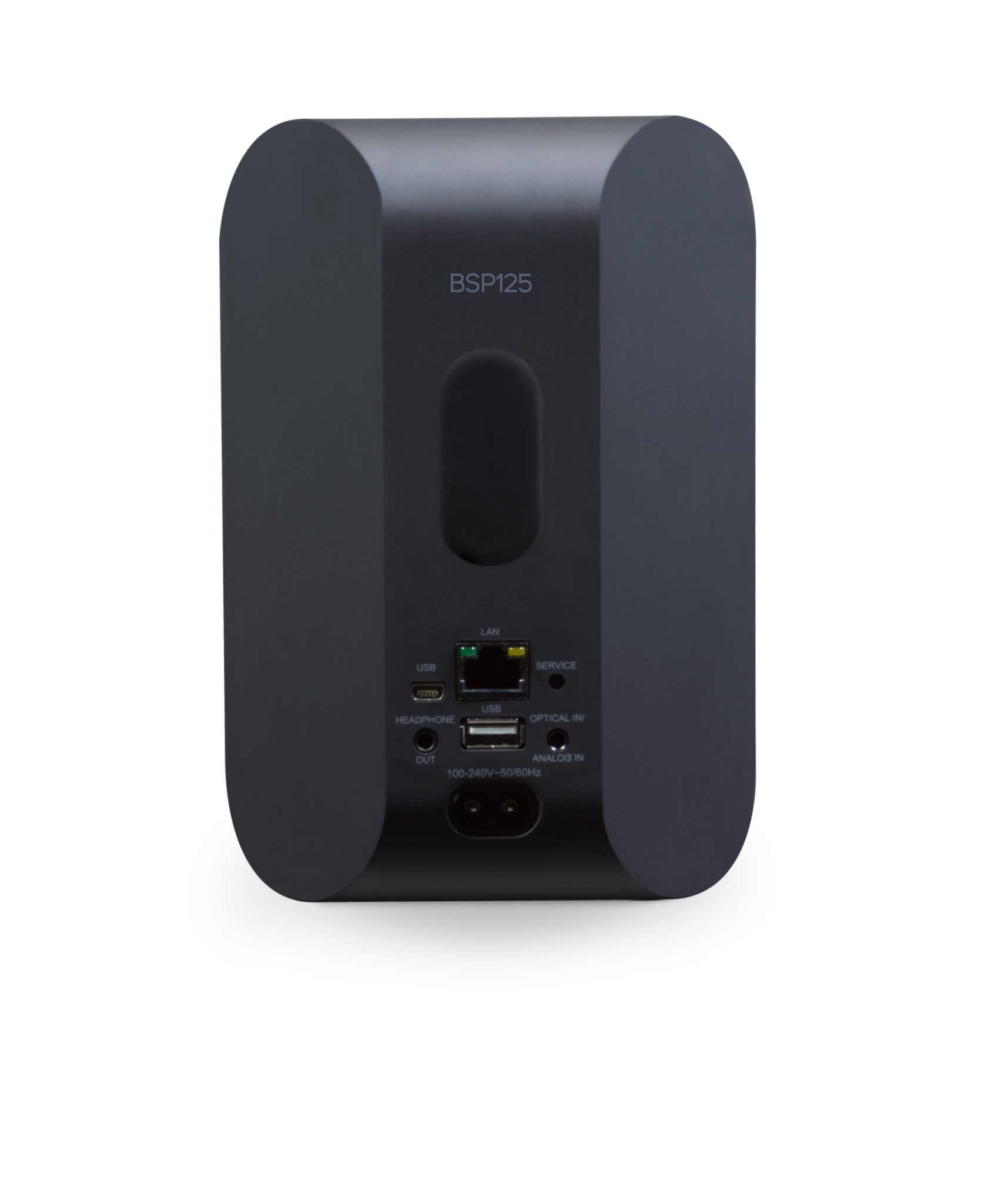 Bluesound Professional BSP125 | Netzwerk Lautsprecher