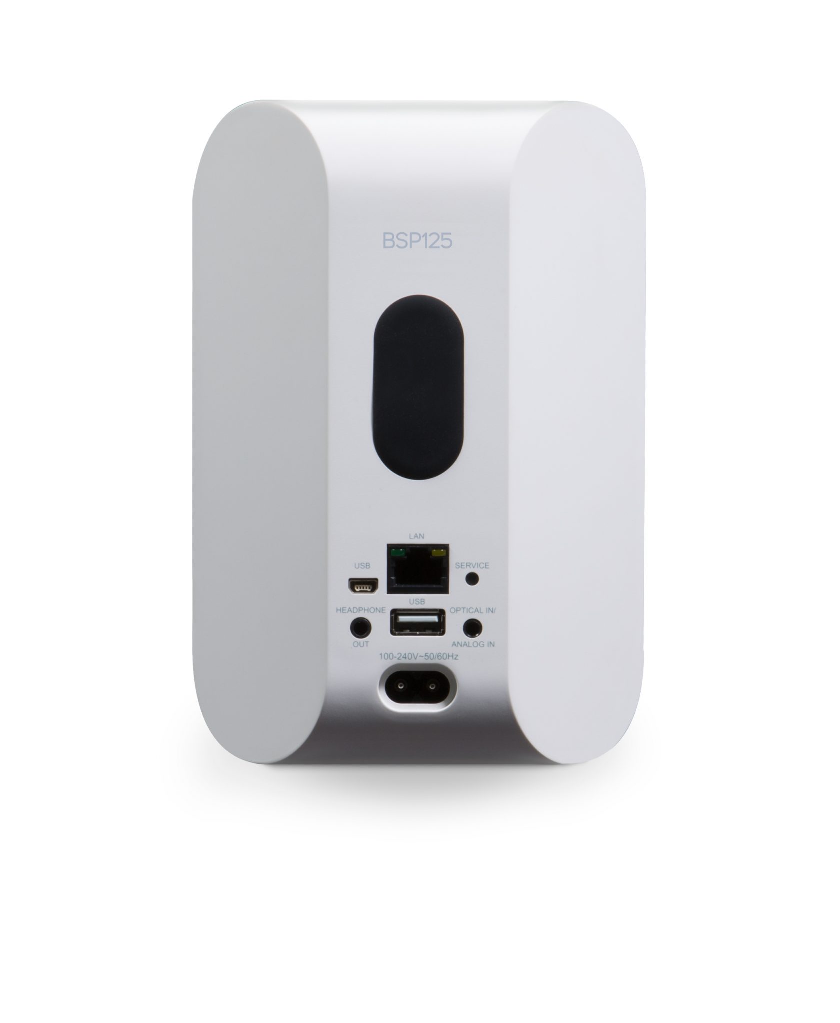 Bluesound Professional BSP125 | Netzwerk Lautsprecher