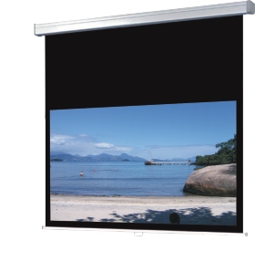 ws-p-procinema-rollo ProCinema-Rollo
