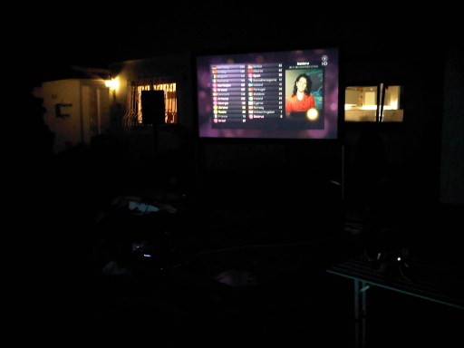 lena-publicviewing4