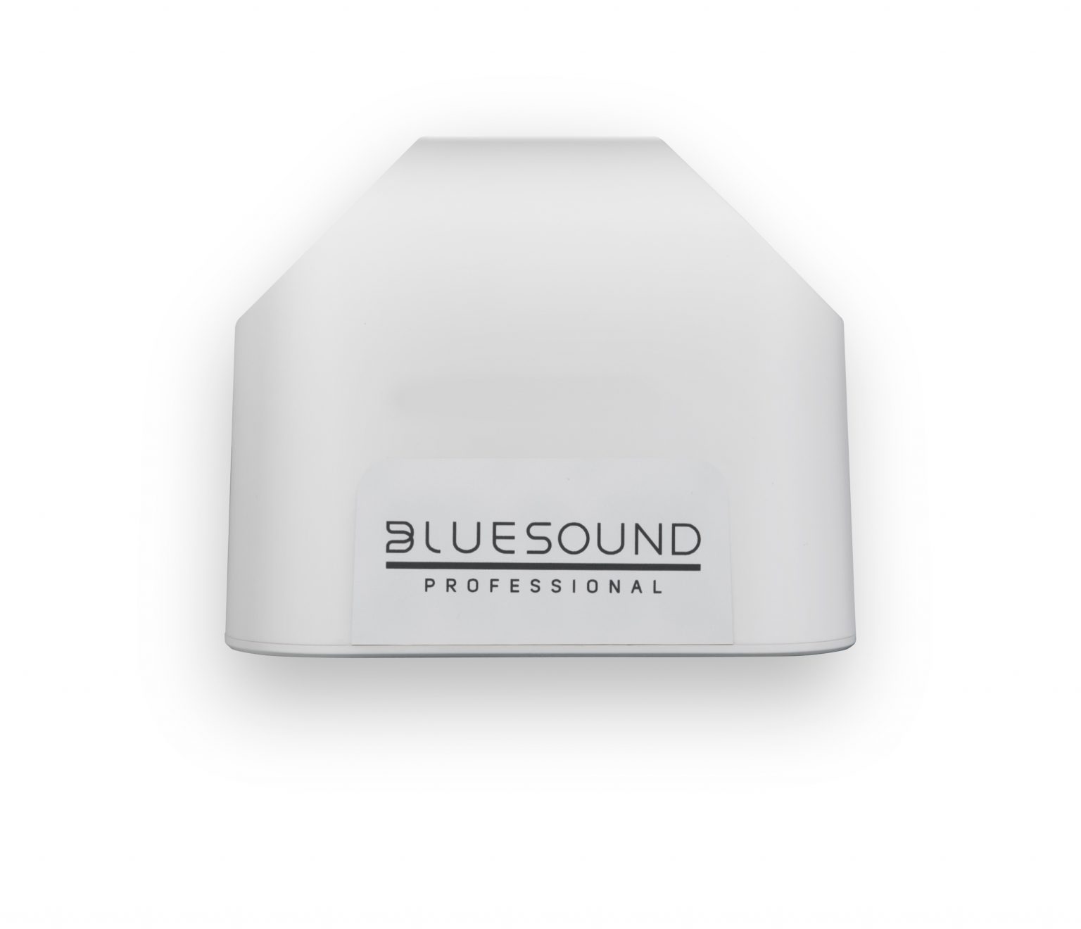 Bluesound Professional BSP125 | Netzwerk Lautsprecher