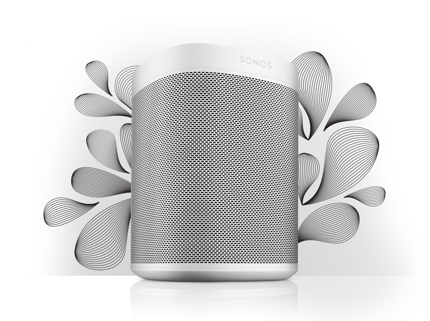 Bei uns jetzt im Abverkauf - SONOS Komponenten