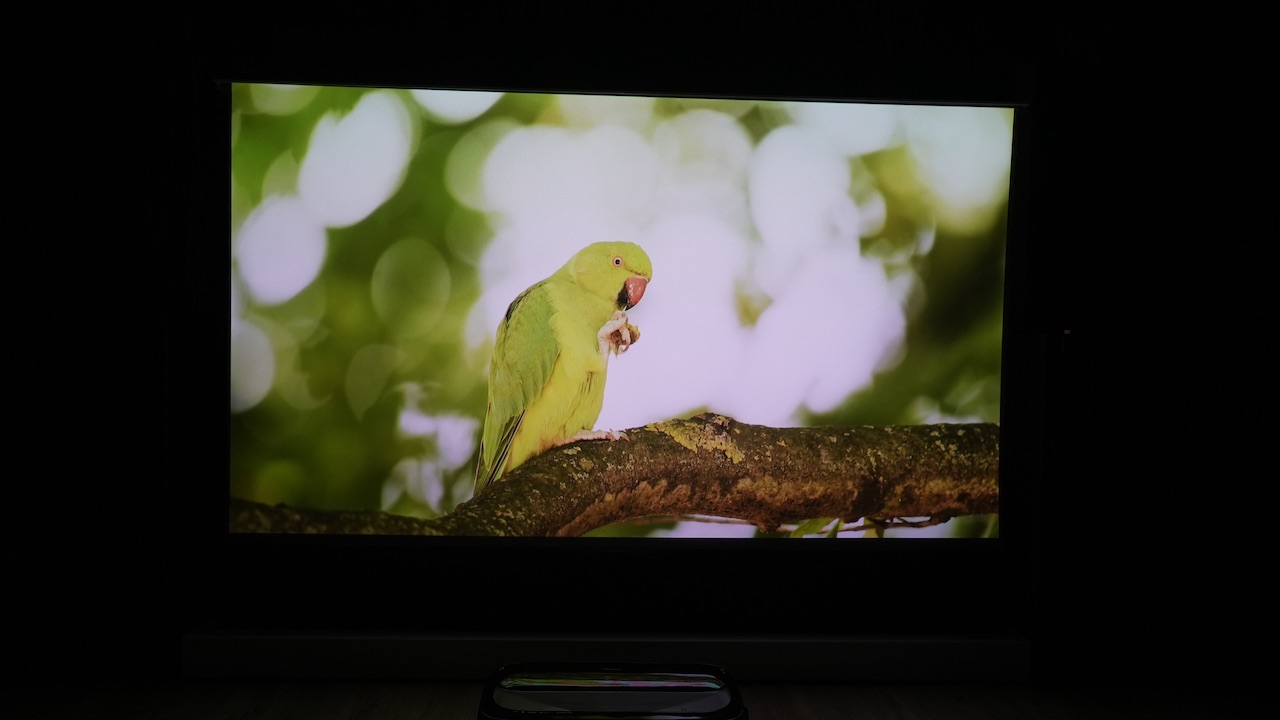 DSC09310 Hisense motorische CLR Bodenleinwand mit Akustik Vorlauf und Hisense 100L9