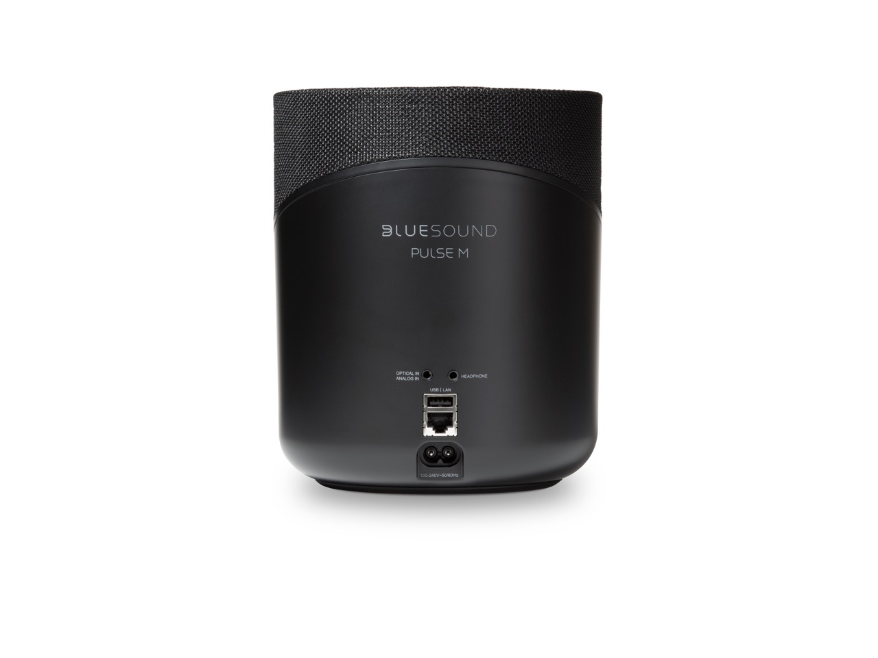 Bluesound PULSE M Rückseite Schwarz