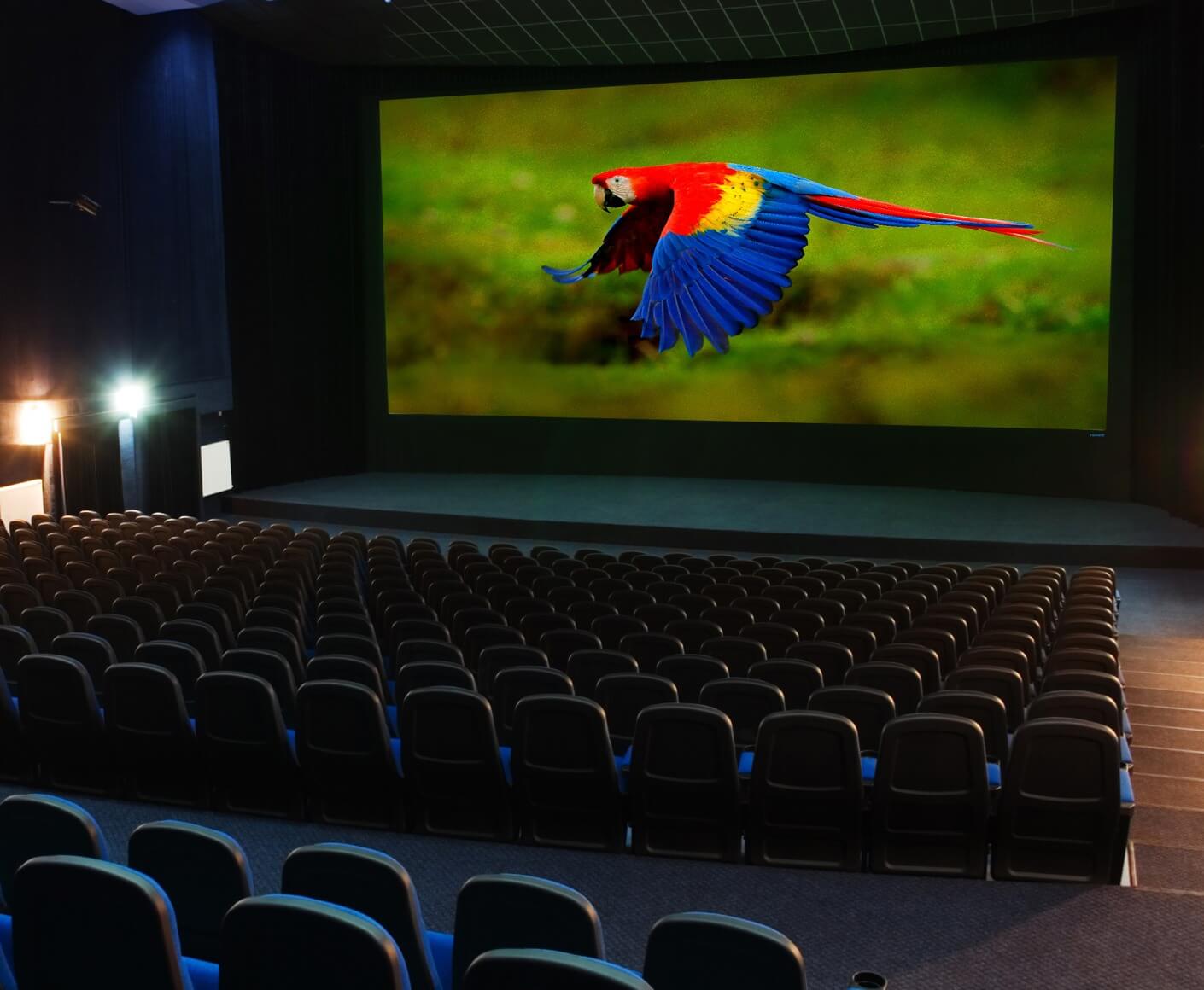Stewart Filmscreen Projektionsleinwand in einer Kinoanwendung