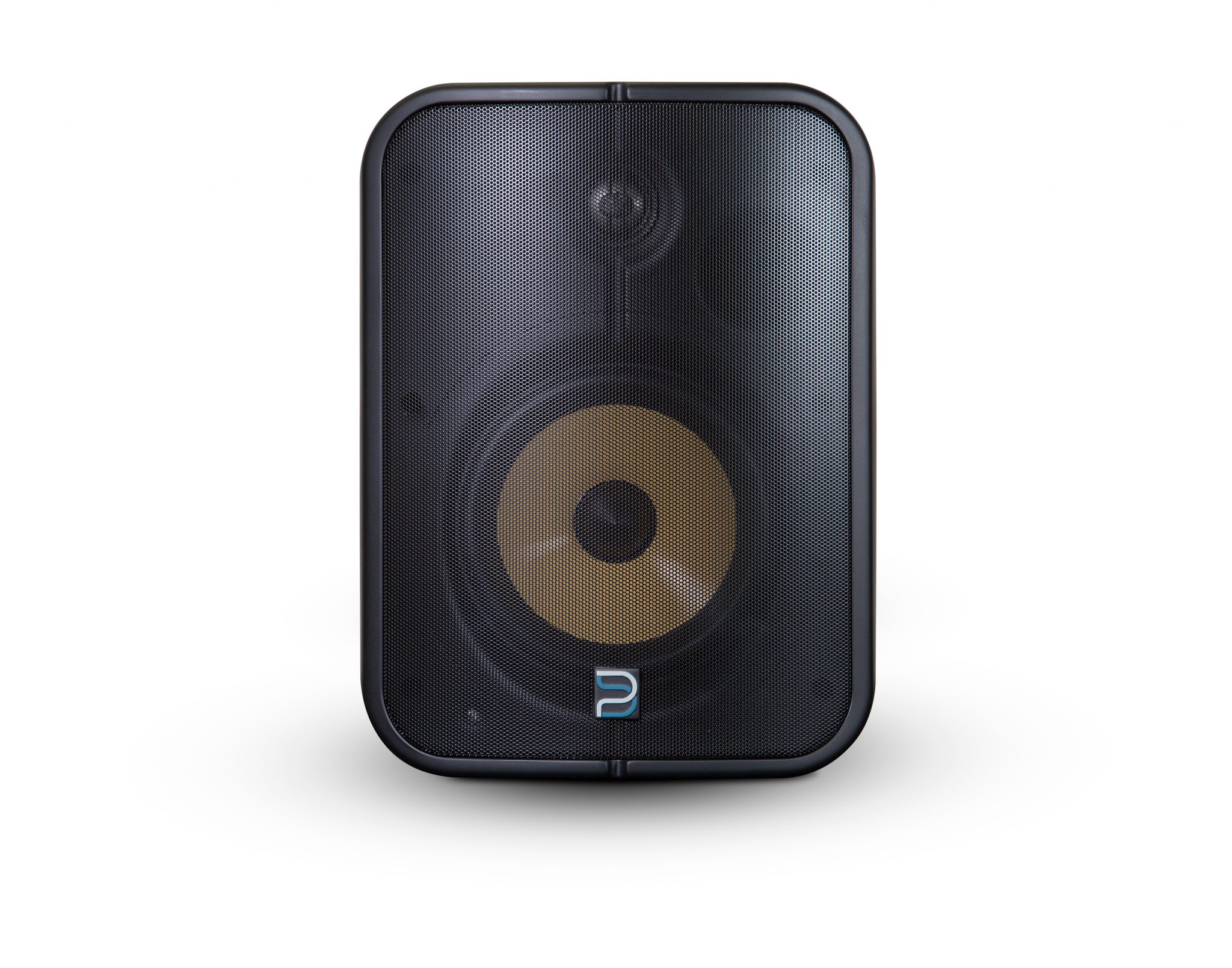 Bluesound Professional BSP1000 | PoE Netzwerk Lautsprecher