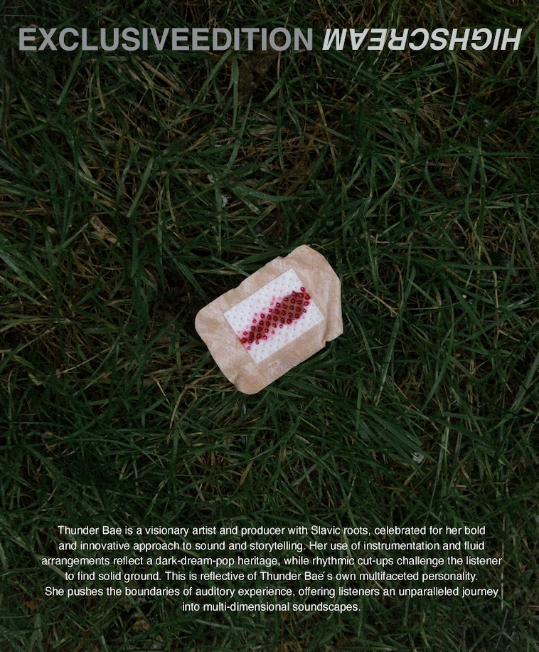 Bildschirmfoto-2025-02-02-um-13-40-29 Thunder Bae Disk Highscream Rückseite