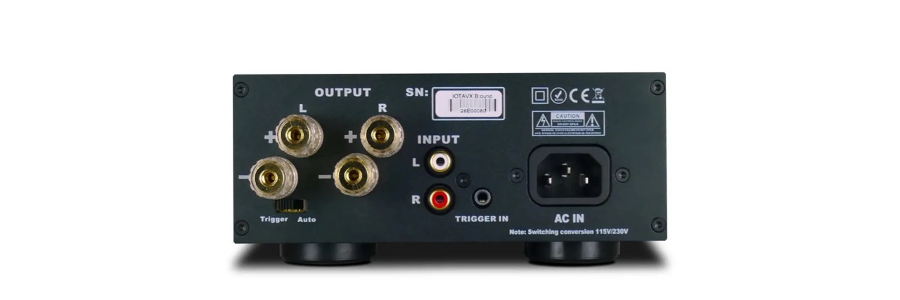 Anschlüsse der IOTAVX B:ound Stereo-Endstufe